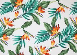 30lawa Tropical Hawaiian Bird Of Paradise Flowers And Leafy Palm Fronds Cotton Poplin Apparel Fabric Tropical Art Print Birds Of Paradise Hawaiian Fabric