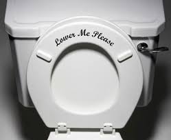 The Decal Store Com By Yadda Yadda Design Co Toil Lower Me Please Toilet Seat Bathroom Vinyl Sticker De Bathroom Vinyl Toilet Seat Bathroom Decals