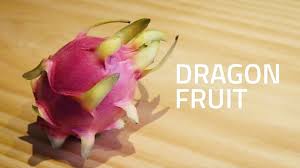How do you grow dragon fruit from seeds? 10 Surprising Benefits Of Dragon Fruit You Never Knew