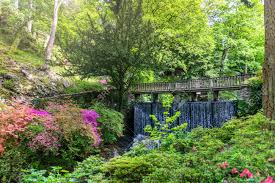 Maybe you would like to learn more about one of these? Beautiful Garden With Blooming Trees During Spring Time Wales Uk Stock Photo Picture And Royalty Free Image Image 127270584