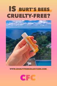 Pin On Brands That Test On Animals