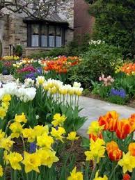 Reussir Un Jardin De Tulipes Jardin De Tulipes Copeaux De Bois Jardin