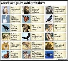 Animal Spirit Guide Animal Spirit Guides Animal Totem Spirit Guides Spirit Guides
