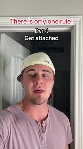 Josh William Collins