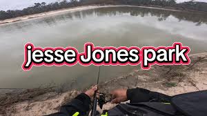 Jesse Jones Devonport | TikTok