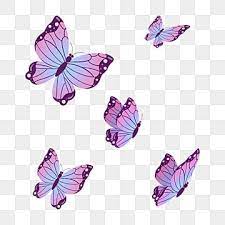 Pin En Mariposa
