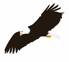 Soaring Eagle Png Image Eagle Clipart Transparent