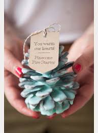 Diy Wedding Favors Diy Pine Cone Fire Starter Wedding Favors Do It Yourself Ideas For Brides And Best Diy Holiday Gifts Pinecone Fire Starters Diy Pinecone