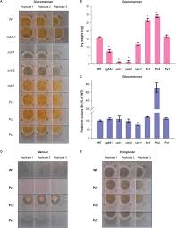 We did not find results for: Network Reconstruction And Systems Analysis Of Plant Cell Wall Deconstruction By Neurospora Crassa Biorxiv