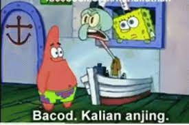 Spongebob squarepants gifs find share on giphy. Spongebob Squidward Gif Spongebob Squidward Bacot Discover Share Gifs
