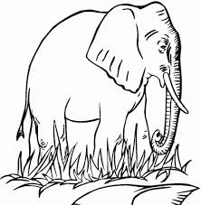 284.45 kb, 1480 x 2000. 32 Free Elephant Coloring Pages Printable