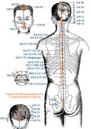 Gv Governing Vessel Meridian Graphic Chinese Medicine Theory Yin Yang House Acupressure Acupuncture Massage Therapy