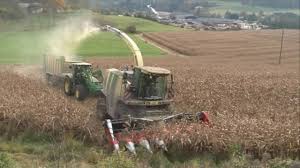 Wirtschaftlich bedeutend ist die unterart (subspezies) zea mays subsp. Maisernte 2009 Profis Ernten Mit Erfolg Youtube