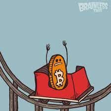 Fly Bitcoin Fly Bitcoin Bitcoin Price Cryptocurrency