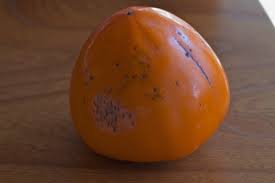We did not find results for: Chocolate Persimmon Tokyo Mesubim