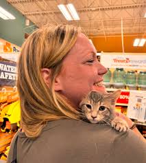 Adopting a cat with feline leukemia in Ohio