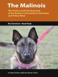 In the next few minutes detector we ll be making a. Super Sniffer Drill Book By Debby Kay Ebooks Scribd