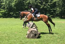 Dreaming of a horse suggests that you need something important in your life, a goal to move towards. Safe Secure The 5 Best Stirrups For Cross Country