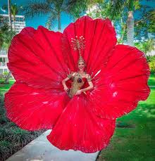 Mothers day gifts flowers puerto rico. Puerto Rican Hibiscus Miss Universe Pageanthology 101 Facebook