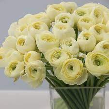 George's flowers offers fresh flower delivery roanoke. Flowers 4 U George