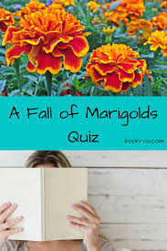 A Fall Of Marigolds Quiz Book Quiz Homeschooling Alice In Wonderland Reading Kids Book Quizzes Quizzes Quiz Book Quizzes Quiz Fall