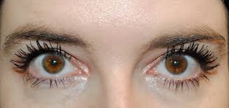 false lash effect mascara makeupalley