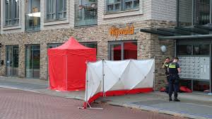 Afbeeldingsresultaat voor dineke van es verwoeste steden