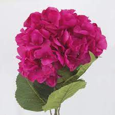 Maybe you would like to learn more about one of these? Giant Silk Hydrangeas Hot Pink Artificial Flowers