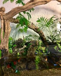 Riparium Complete Care Guide How To Build Bantam Earth What Is Landscape Architecture Floating Plants Landscape Design Program