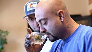 Toby Manuel's Instagram, Twitter & Facebook