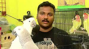 Pet stores near me that sale birds. Amazing Parrot At Chennai S Pet Shop Must Watch Youtube