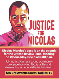 Mango bloom spikes January 1, 2025. Happy New Year! Never seen bloom spikes  this early. Gotta love the unbounded enthusiasm and hopefulness of fruit  trees preparing for a bountiful harvest. 🙂