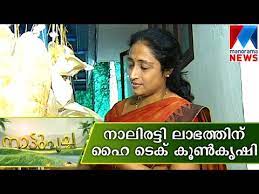 Mushroom cultivation can be an interesting hobby with delicious results that could easily become a profitable small business. Bio Hi Tech Mushroom Cultivation Manorama News Nattupacha Youtube