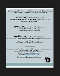 Politele auto sunt printre cele mai cunoscute si necesare produse de asigurari de pe piata romaneasca. Tast Musical 2017 Celler Vila Corona