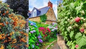 Hedges can also be planted to provide a definitive boundary to a property or define a certain area of a garden or act as a windbreak too. 40 Fast Growing Shrubs And Bushes For Creating Privacy