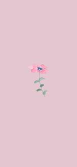 Check out this fantastic collection of aesthetic pink flower wallpapers, with 29 aesthetic pink flower background images for your desktop, phone or tablet. 35 Pink Aesthetic Pictures Pink Flower Wallpaper Idea Wallpapers Iphone Wallpapers Color Schemes