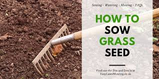 Different varieties of grass germinate at different times of year. How To Sow Grass Seed