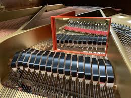 Max Biggs Piano (@biggsmaxw) • Instagram photos and videos