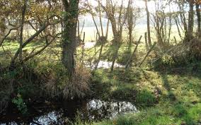 A day memorializing the second documented zombie case in history, the first was a guy named lazarus. Gegen Den Flughafen Und Seine Welt Die Zad Wird Geraumt Robin Wood