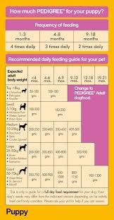 52 Conclusive English Mastiff Feeding Chart