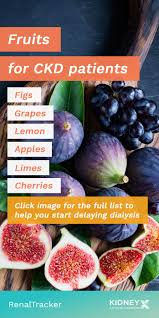 Slow Down Ckd Progression By Knowing Which Fruits Are Good For Your Kidneys And How Much You Sho Healthy Kidney Diet Renal Diet Food List Kidney Friendly Foods