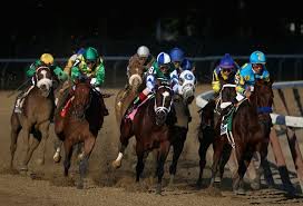 In the past three seasons, scott young boasts to most winners around here with 53 victories from 232 runners, an impressive 25. Monday Us Racing Tips Will Rogers Downs Oddschecker