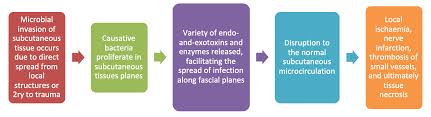 Ostomy surgery results in an opening in the abdominal wall to make way for a surgically created diversion in the excretory pathway to evacuate bodily waste. Necrotising Fasciitis Rcemlearning