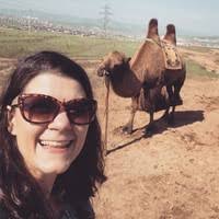 Comments » Cascadia — Kickstarter