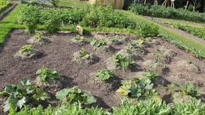 Beauvais Le Quartier Saint Quentin Etrenne Ses Jardins Familiaux