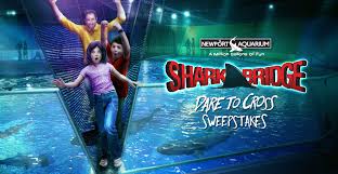 Newport Aquarium Newport Aquarium Sweepstakes New Shark