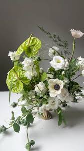 Image result for Diplocyclos