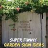 Whether you're looking at a potted plant or just basking in the glory of your garden. 1