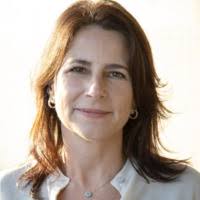 PDF) Brazilian Contemporary Art in the International Art Market