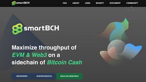 Yet, the market has a highly volatile nature, and the cryptocurrency prices can change dramatically within the next few months. Maximizing Tps Smartbch Developer Explains Project S Potential Metamask Capabilities Seen In The Wild Technology Bitcoin News